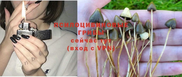 стафф Балахна